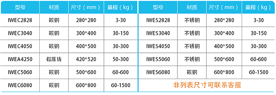 精度計(jì)重臺(tái)秤-IWE產(chǎn)品參數(shù)